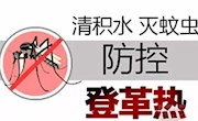  登革热的防控知识