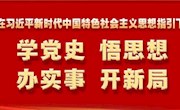 【党史学习教育】党史如何学，实事怎么办？这些做法值得借鉴 
